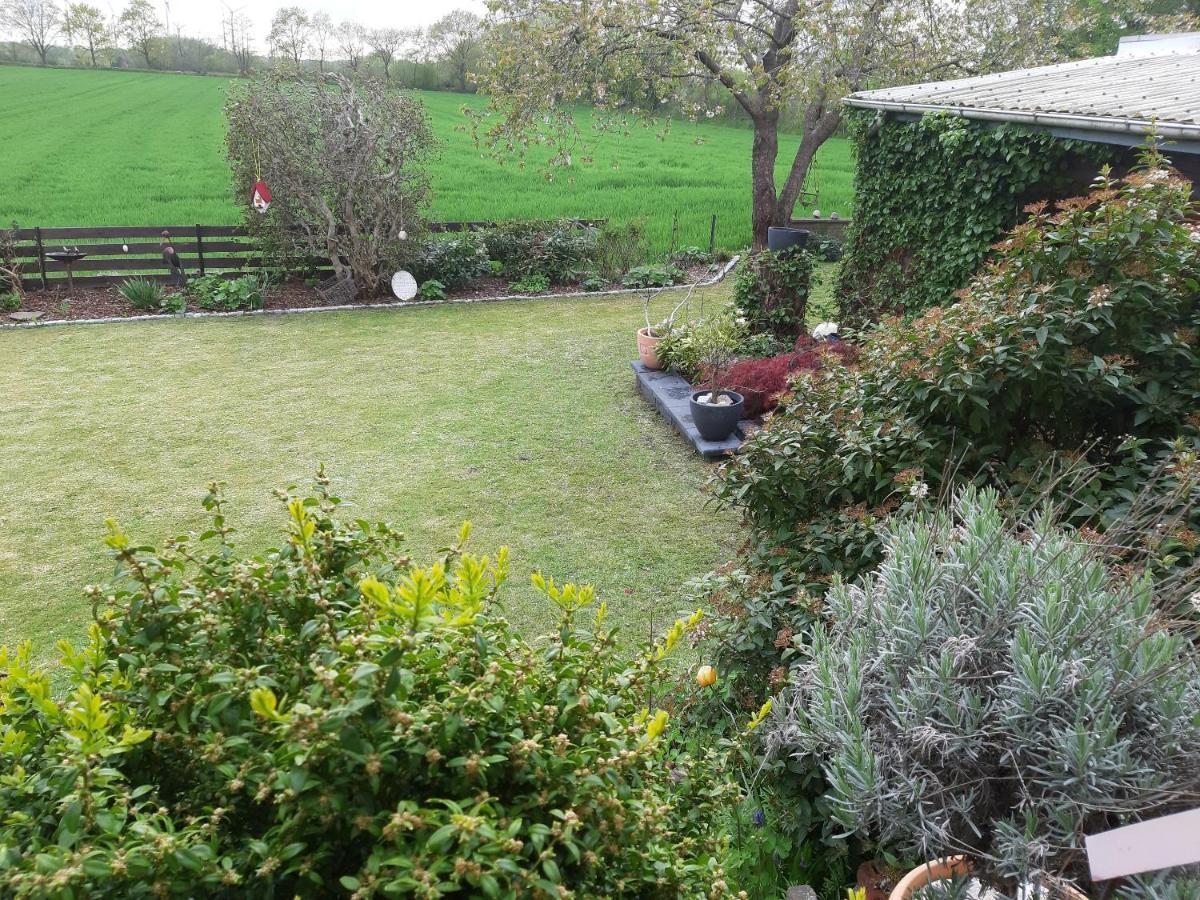 Ferienwohnung Schwalbennest Hanerau-Hademarschen Esterno foto